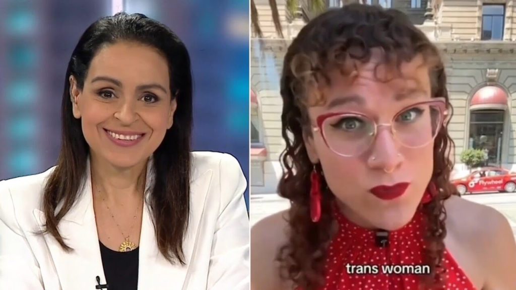 Lefties losing it: Sky News host fact checks trans activist